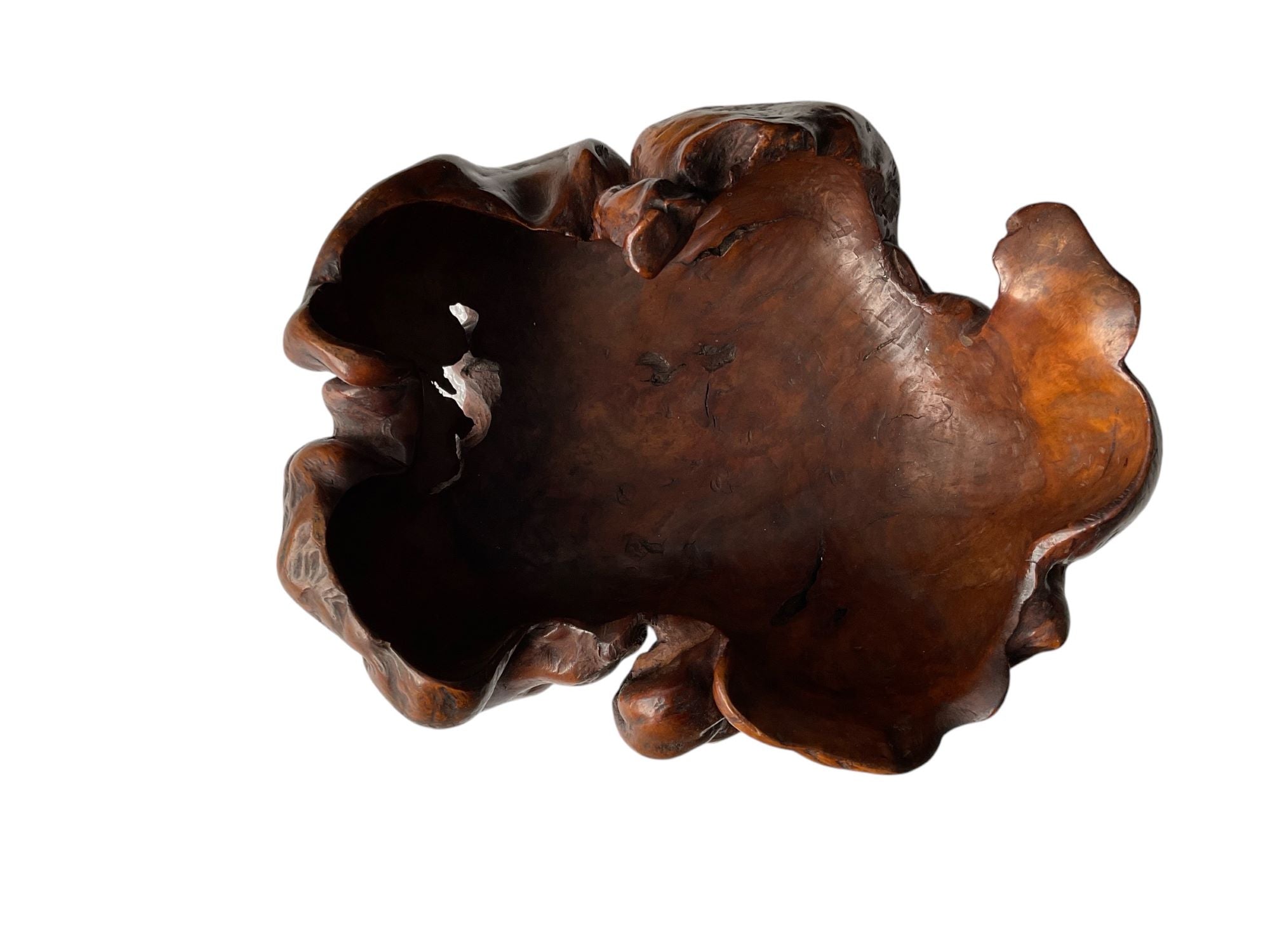 Organic Wooden Root Bowl