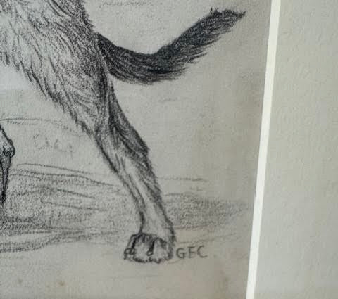 19th Century Sketch of Dog