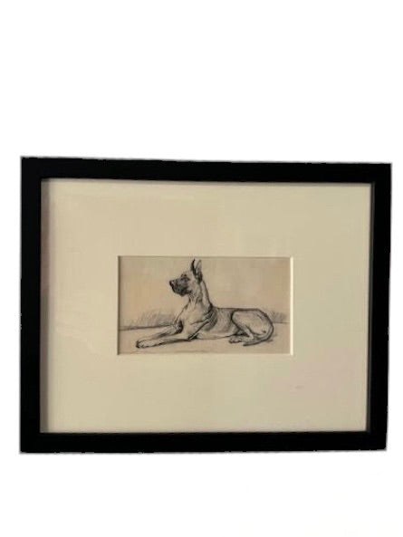 19th Century Sketch of Dog