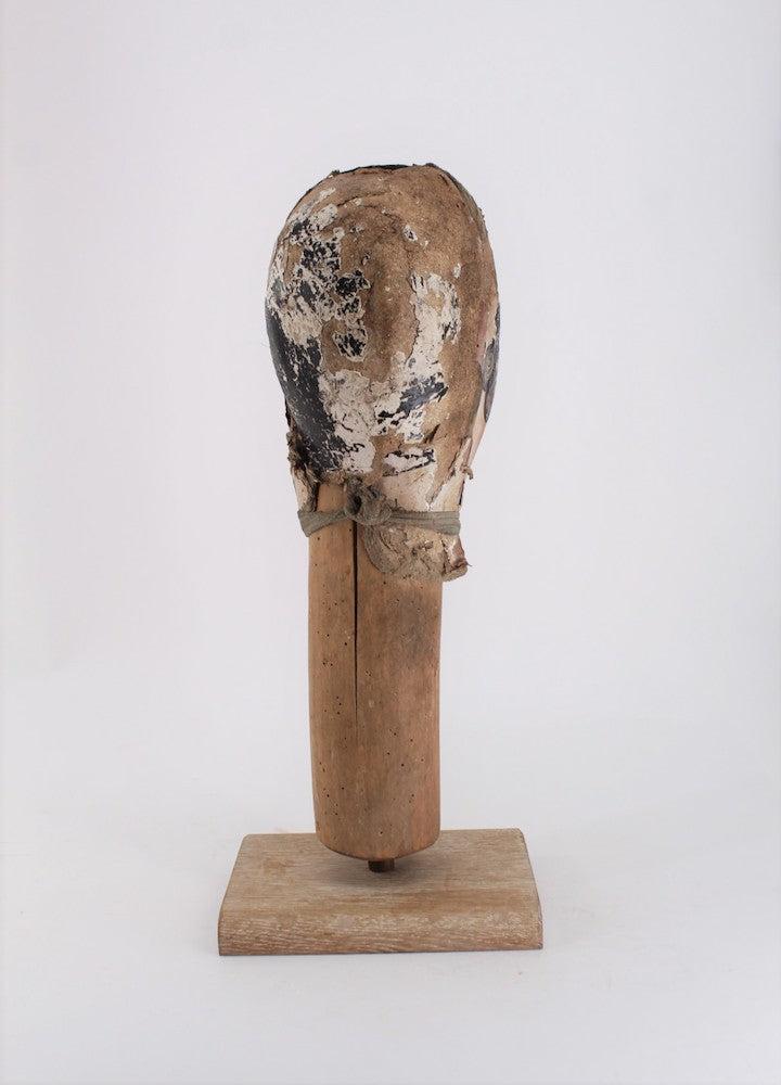 19th Century English Papier Mache Head