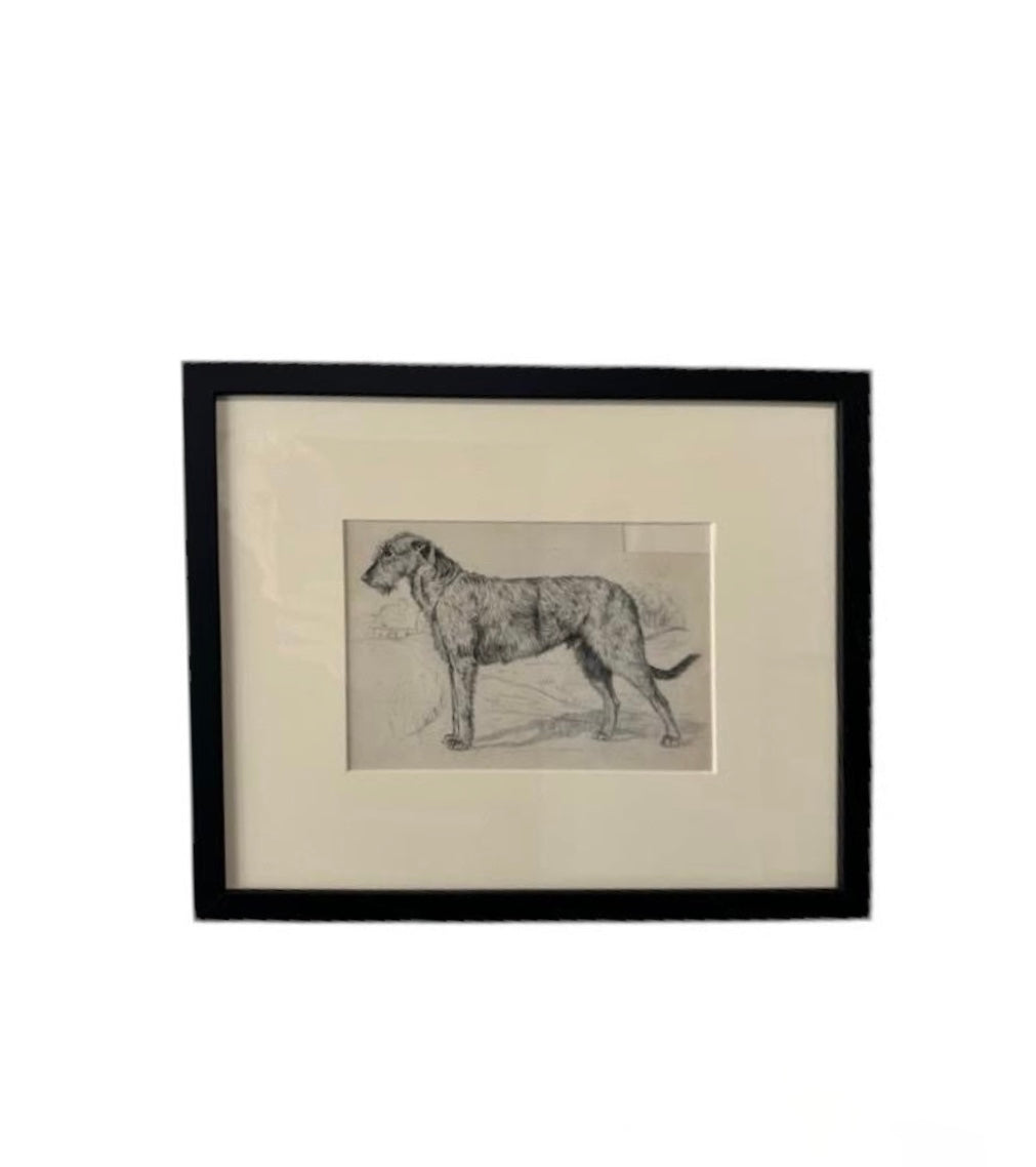 19th Century Sketch of Dog