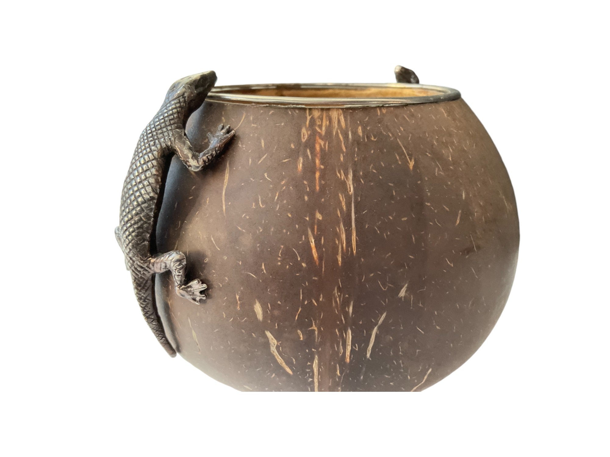 Coconut Gourd with two Silver Lizards