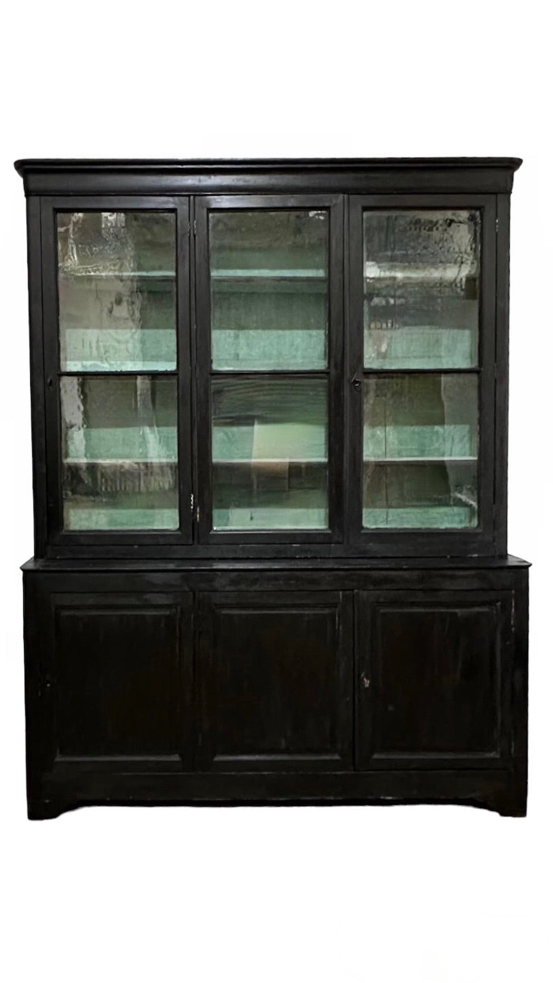 19th Century Ebonized Cabinet