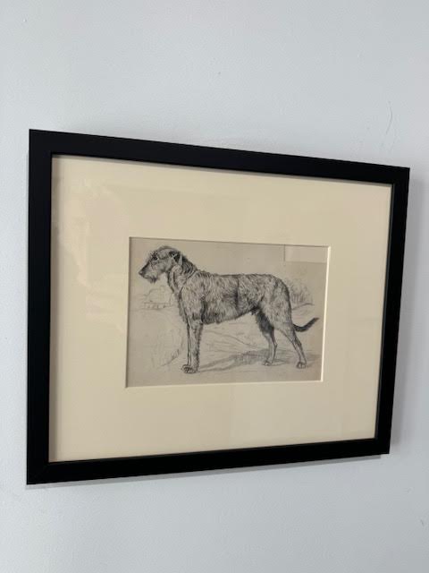 19th Century Sketch of Dog