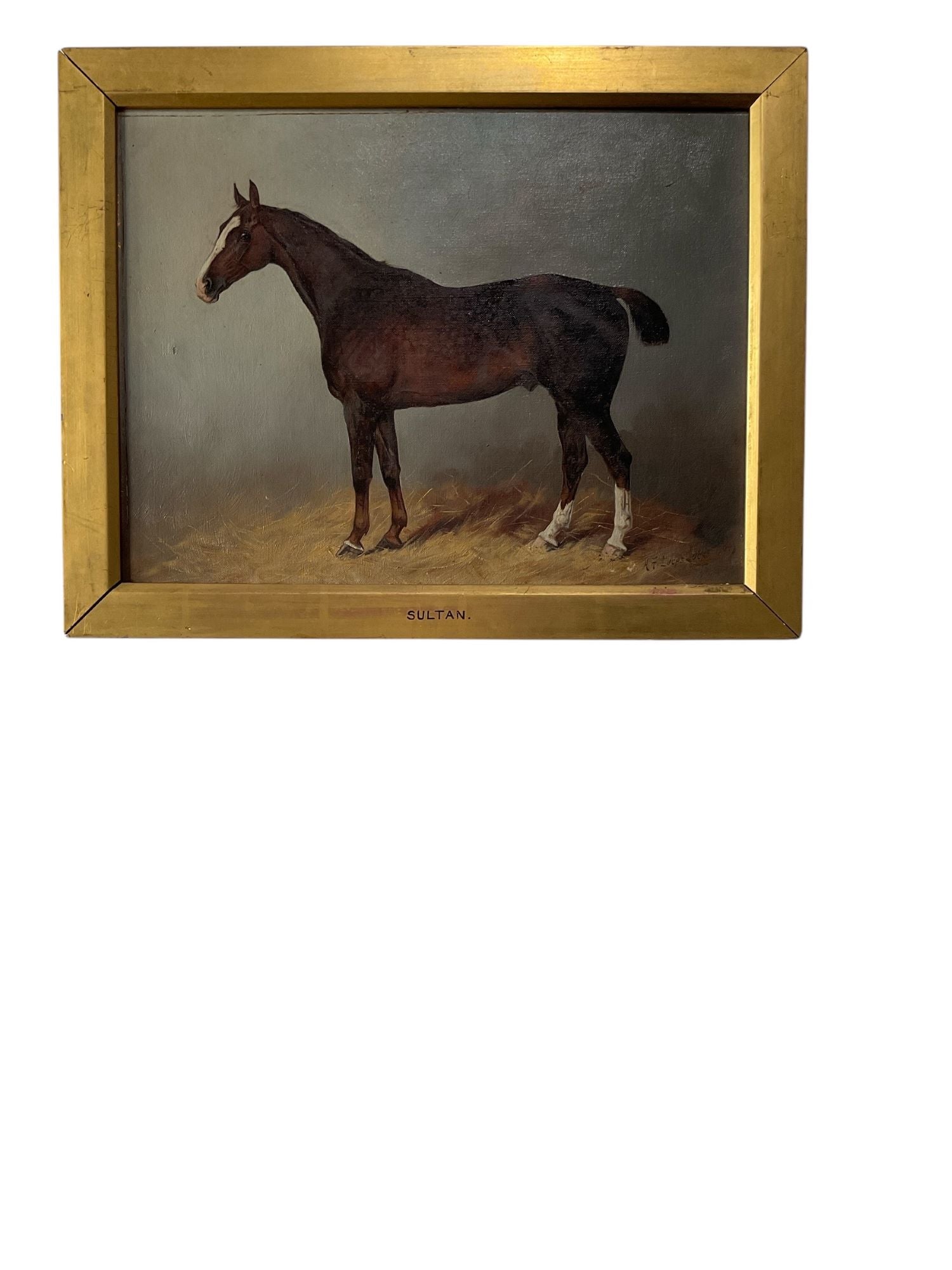 Circa 1890’s English Horse Portrait, (4) Framed Portraits Available