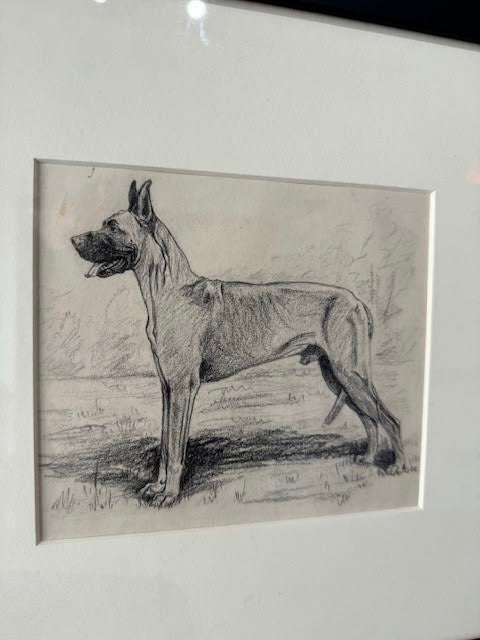 19th Century Sketch of Dog