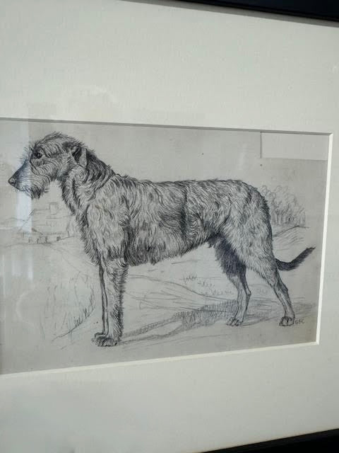 19th Century Sketch of Dog