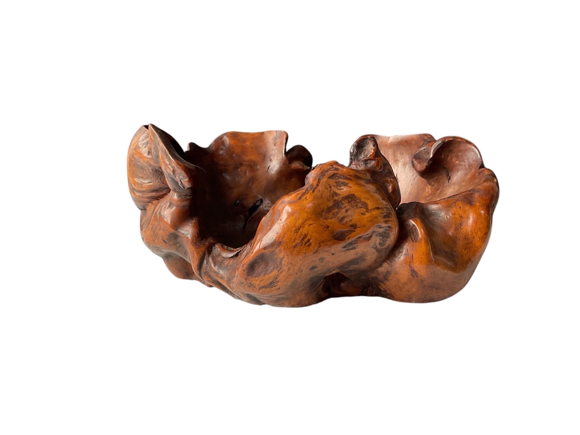 Organic Wooden Root Bowl