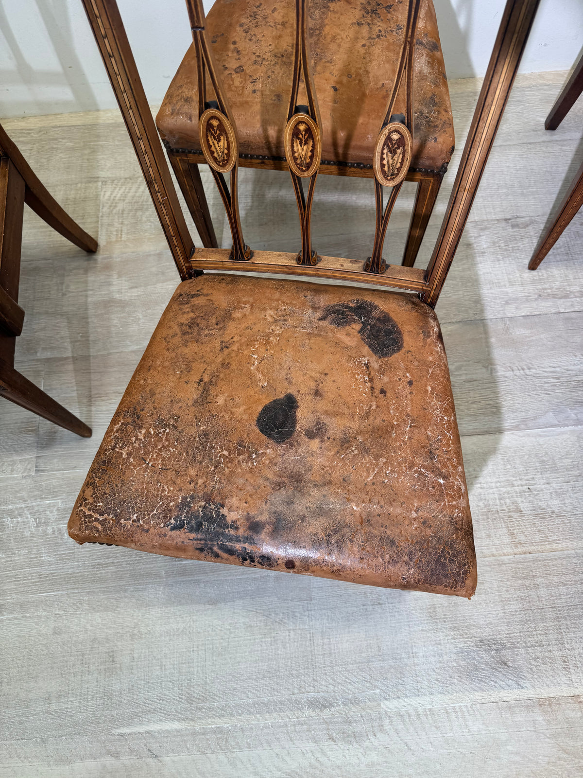 Set of Eight Dining Chairs