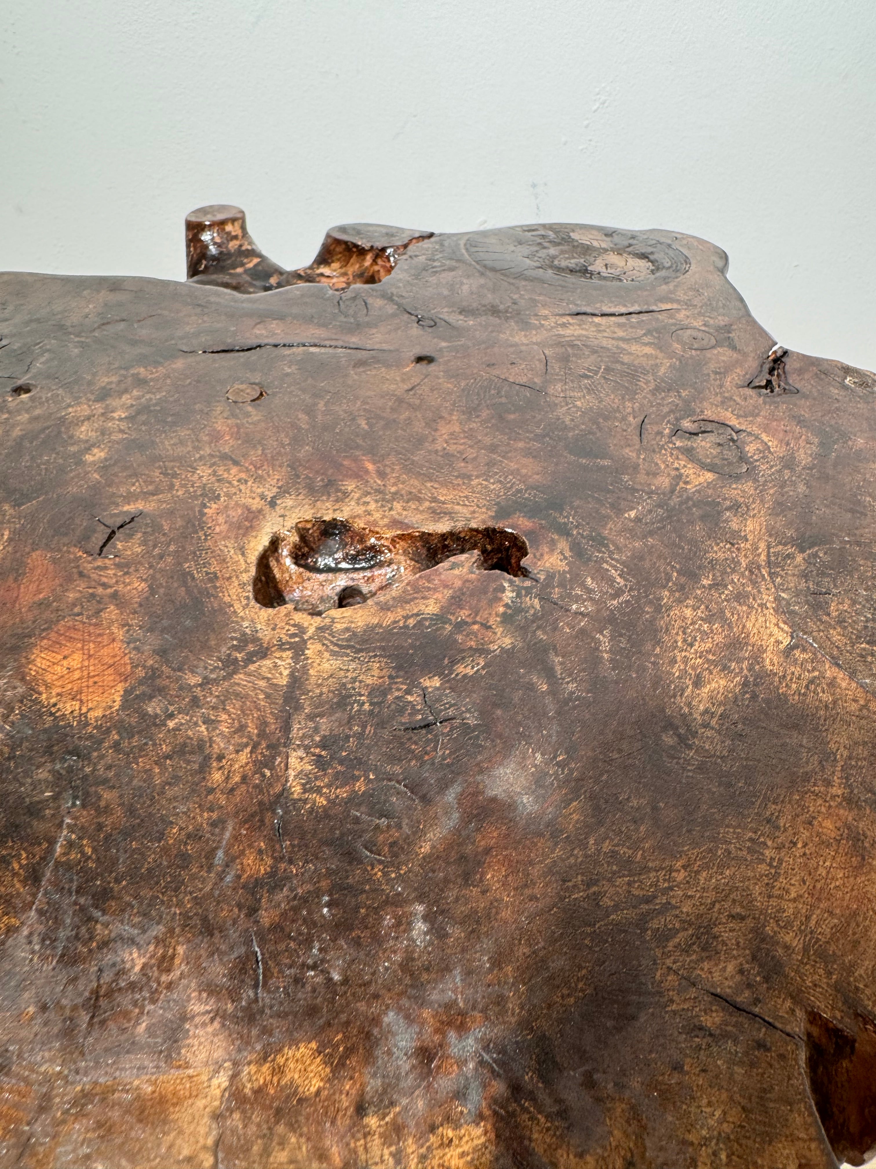 French Vintage Burl Root Side Table