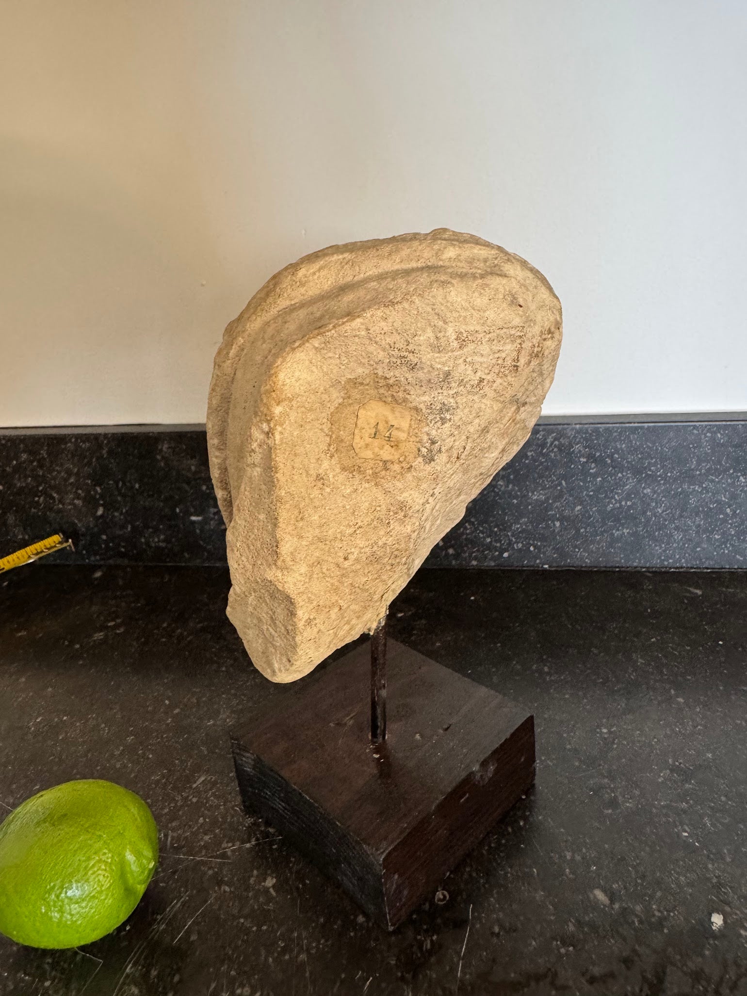 Antiquities Head Sculpture