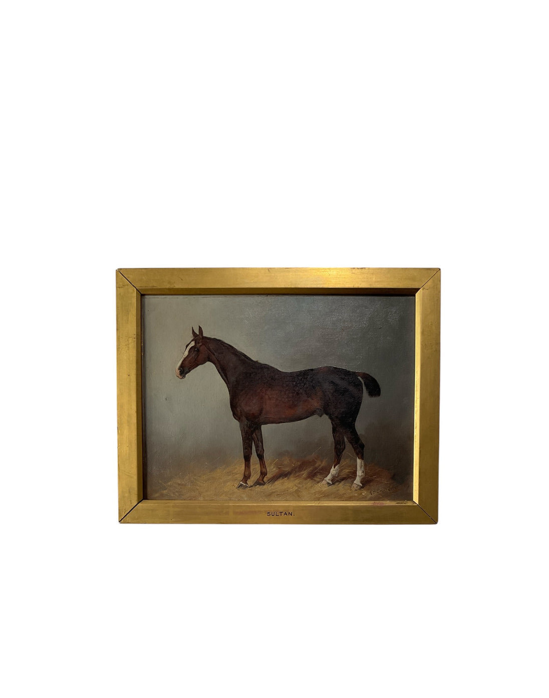 Rare Circa 1890’s English Horse Portrait, (4) Framed Portaits Available