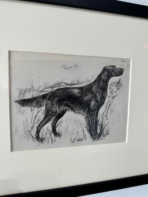 19th Century Sketch of Dog