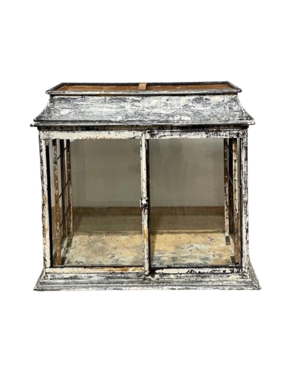 Rare French 19th Century Iron and Glass Cabinet