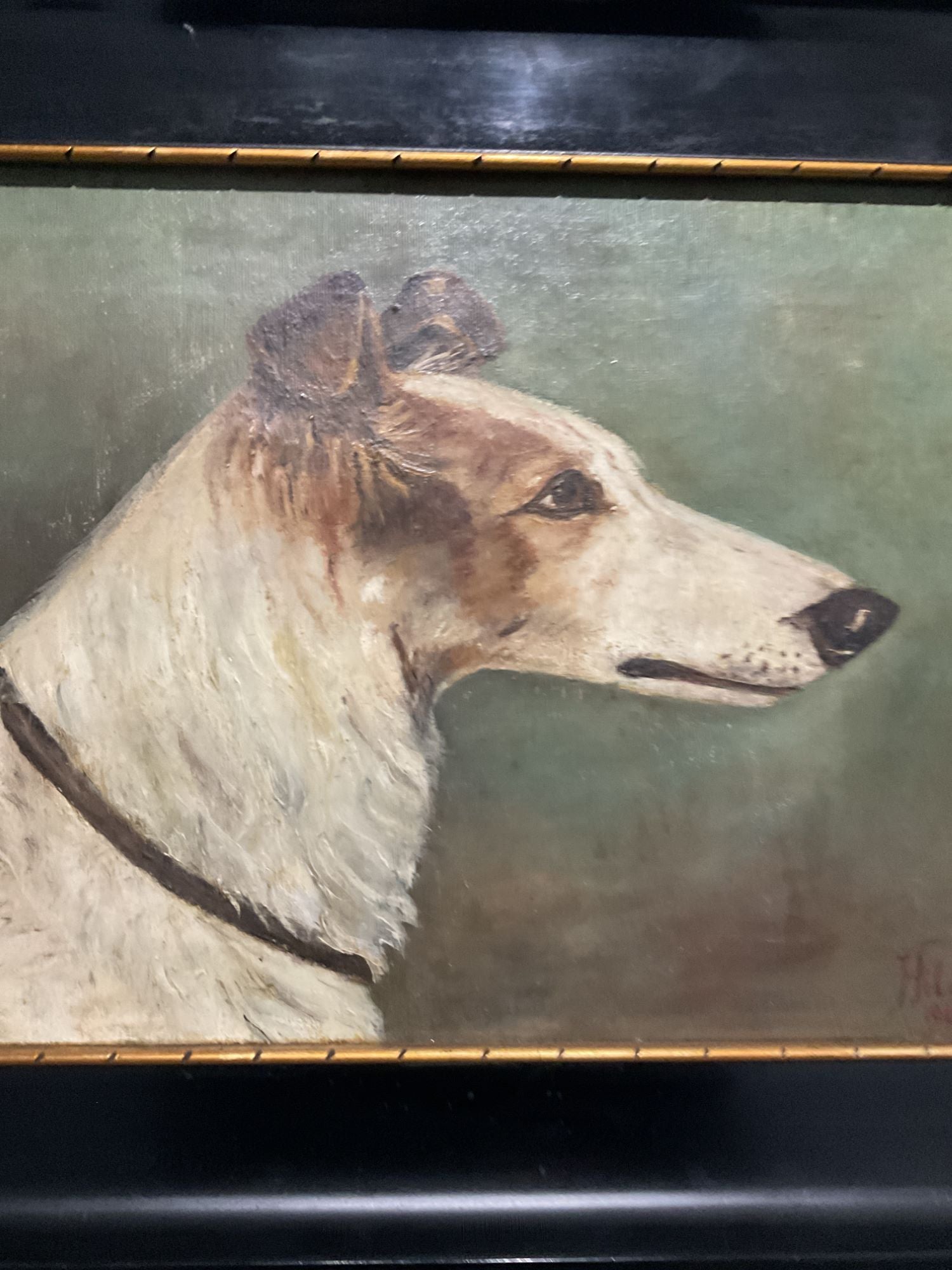 Early 20th Century English Dog Portrait of Sighthound