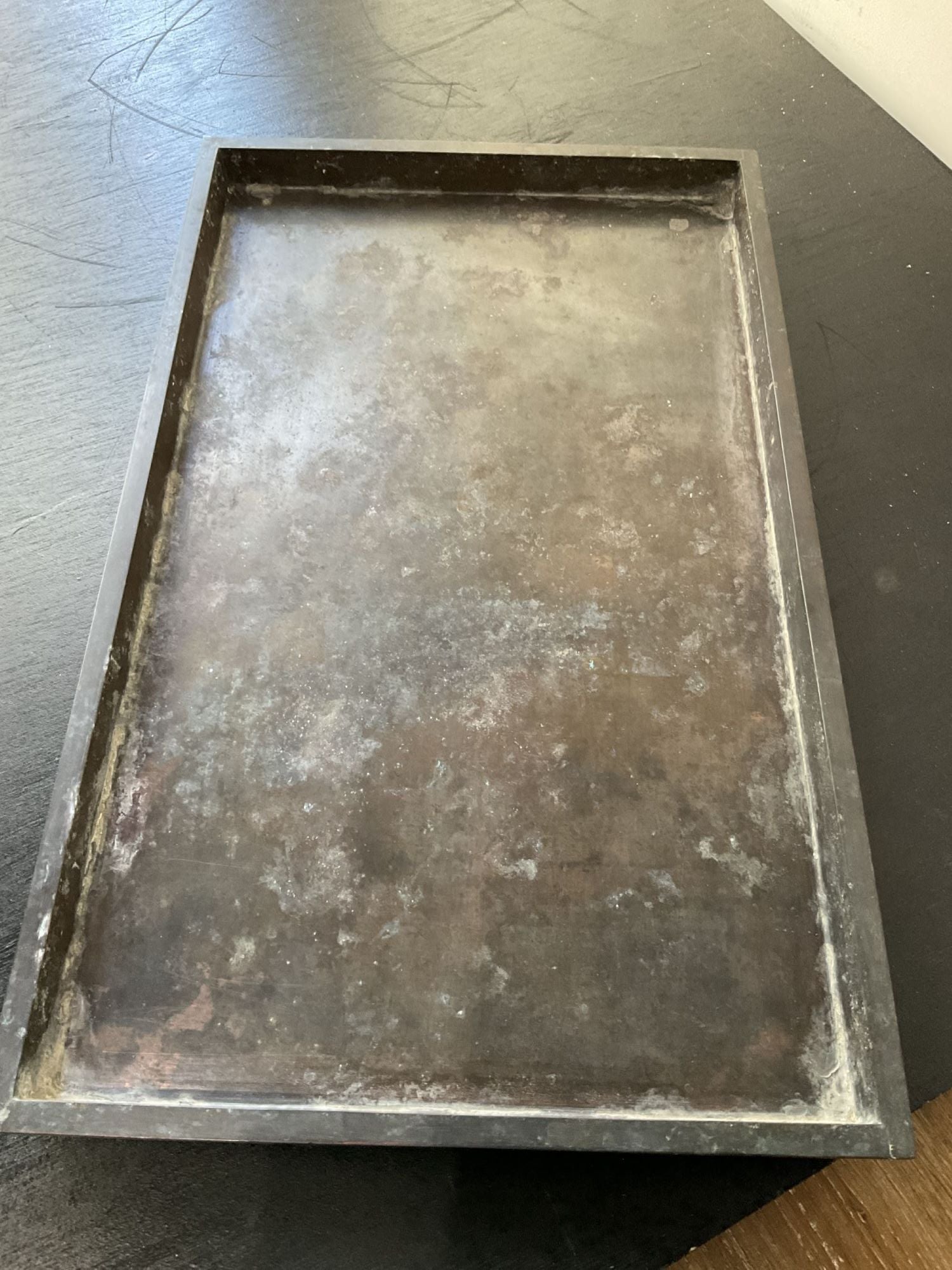 19th Century Japanese Bronze Tray